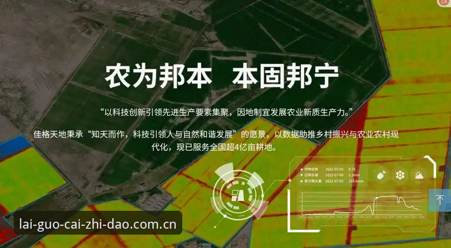 浓眉交易风云中的决策指南：竞博官网登录中国站深度评测